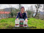 Natürel Çiğ İç Giresun Fındık (500g Vakumlu)